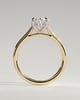 Scarlett - Oval Claw Solitaire with Hidden Halo and Cathedral High Setting Engagement Ring - 18k Yellow Gold / 18k White Gold