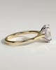 Scarlett - Oval Claw Solitaire with Hidden Halo and Cathedral High Setting Engagement Ring - 18k Yellow Gold / 18k White Gold