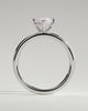 Sherry - V Claw Marquise Solitaire - 18k White Gold