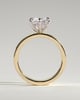 Shiloh - Round Claw Solitaire with Flat Cigar Band and Hidden Halo Engagement Ring - 18k Yellow Gold / 18k White Gold High Setting