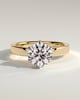 Shiloh - Round Claw Solitaire with Flat Cigar Band and Hidden Halo Engagement Ring - 18k Yellow Gold / 18k White Gold High Setting
