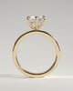 Shiloh - Round Claw Solitaire with Flat Cigar Band and Hidden Halo Engagement Ring - 18k Yellow Gold High Setting