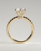 Siobhan - 6 Claw Round Solitaire with Hidden Halo and Collar - 18k Yellow Gold