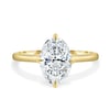 Spencer - Compass Set Oval Solitaire with Hidden Halo - 18k Yellow Gold