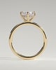 Spencer - Compass Set Oval Solitaire with Hidden Halo - 18k Yellow Gold