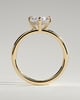 Spencer - Compass Set Oval Solitaire with Hidden Halo - 18k Yellow Gold