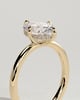 Spencer - Compass Set Oval Solitaire with Hidden Halo - 18k Yellow Gold