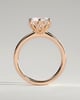 Tessa  Round Solitaire with Tulip Setting - 18k Rose Gold