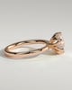 Tessa  Round Solitaire with Tulip Setting - 18k Rose Gold