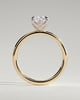 Tilly - Petal Claw Solitaire with Accent Leaf Detail - 18k Yellow Gold / 18k White Gold