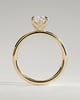 Tilly - Petal Claw Solitaire with Accent Leaf Detail - 18k Yellow Gold