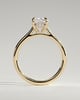 Wendy - Elongated Cushion Claw Solitaire with Hidden Halo, Tapered Band and Cathedral High Setting Engagement Ring - 18k Yellow Gold