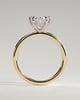 Wilma - Six Claw Oval Solitaire - 18k Yellow Gold / 18k White Gold
