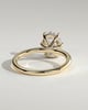 Wilma - Six Claw Oval Solitaire - 18k Yellow Gold