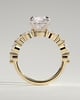 Zade - Round Solitaire with Accent Band - 18k Yellow Gold / 18k White Gold