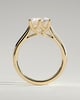 Zya - 6 Claw Cathedral Round Solitaire - 18k Yellow Gold