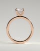 Aida - Radiant Claw Solitaire with Flat Cigar Band and Hidden Halo Engagement Ring - 18k Rose Gold High Setting