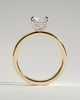 Aida - Radiant Claw Solitaire with Flat Cigar Band and Hidden Halo Engagement Ring - 18k Yellow Gold / 18k White Gold High Setting