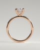 Avery - Oval Double Claw Solitaire with Hidden Halo Engagement Ring - 18k Rose Gold High Setting
