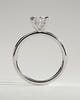 Avery - Oval Double Claw Solitaire with Hidden Halo Engagement Ring - 18k White Gold High Setting