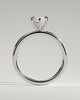 Marly - Classic Marquise Claw Solitaire Engagement Ring - 18k White Gold High Setting
