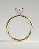 Marly - Classic Marquise Claw Solitaire Engagement Ring - 18k Yellow Gold / 18k White Gold High Setting
