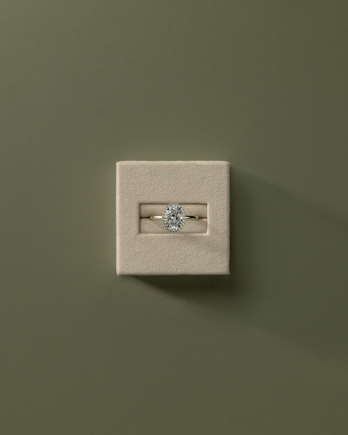 Phoebe  Oval Halo - 18k Yellow Gold