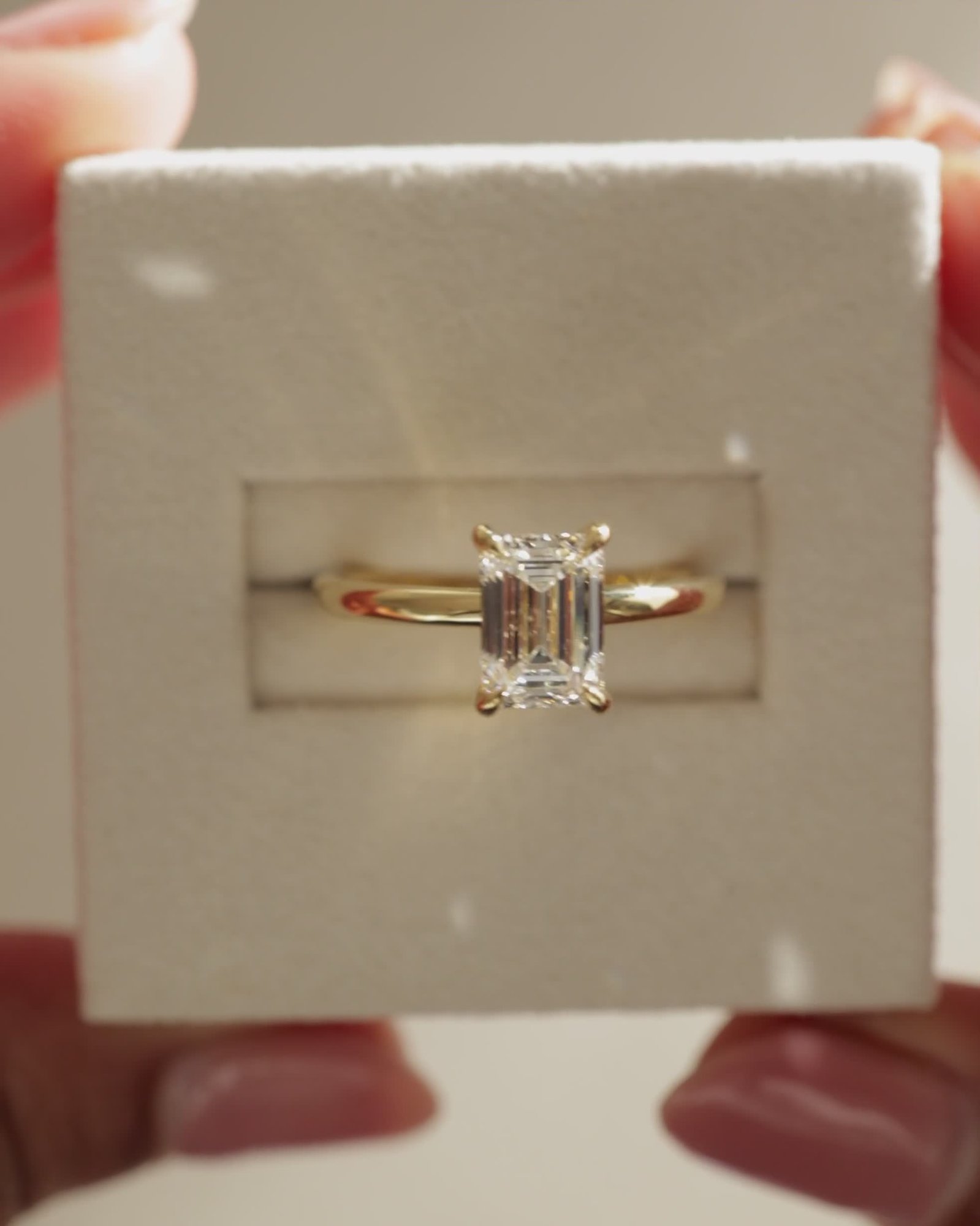 04_3955_Video 4x5.mov