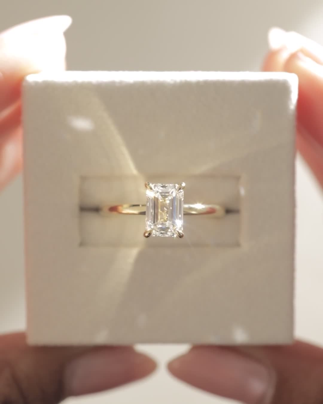 04_4442_Video_4x5.mov