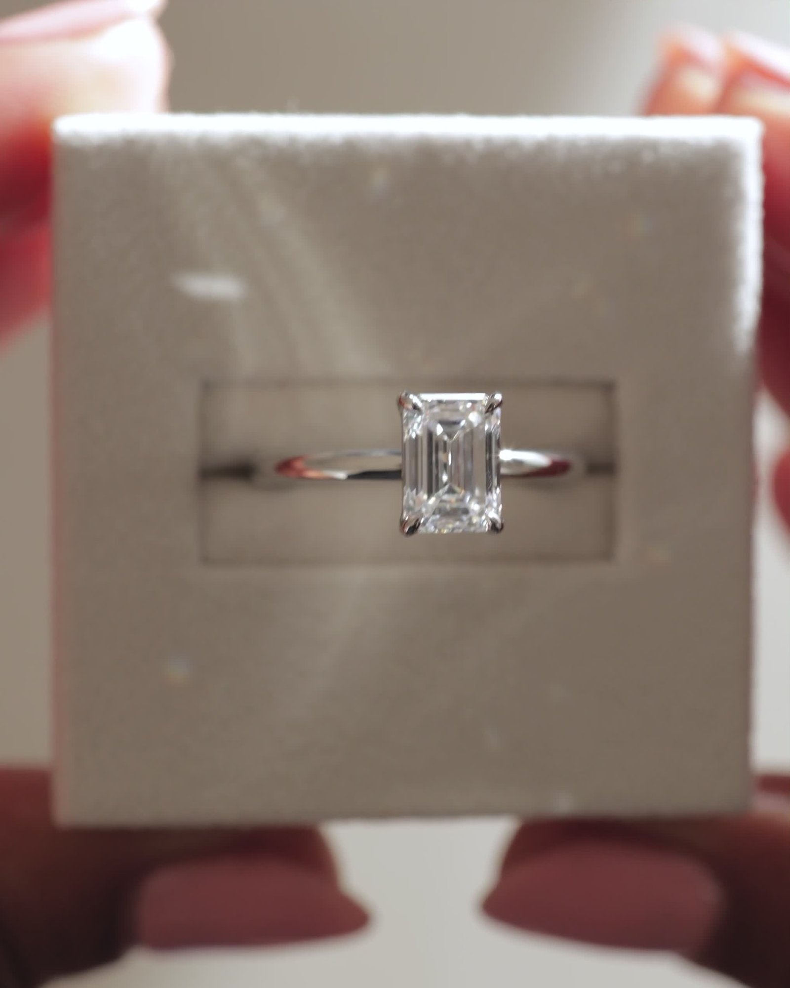 04_3850_Video 4x5.mov