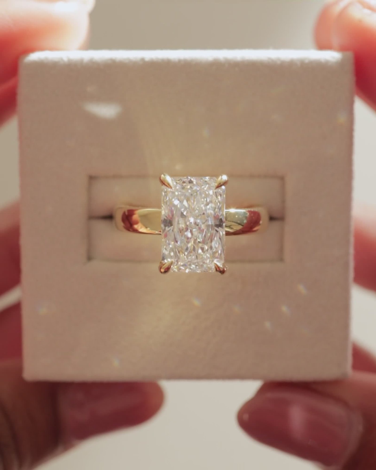 04_3869_Video 4x5.mov