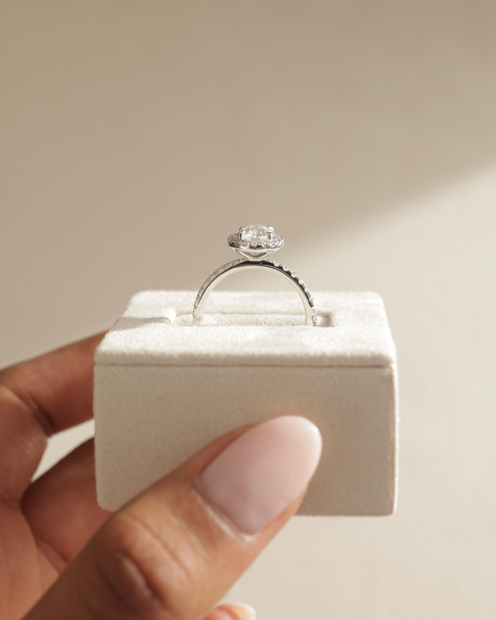 Platinum | 8x6mm Oval Moissanite | Lab Diamond side stones