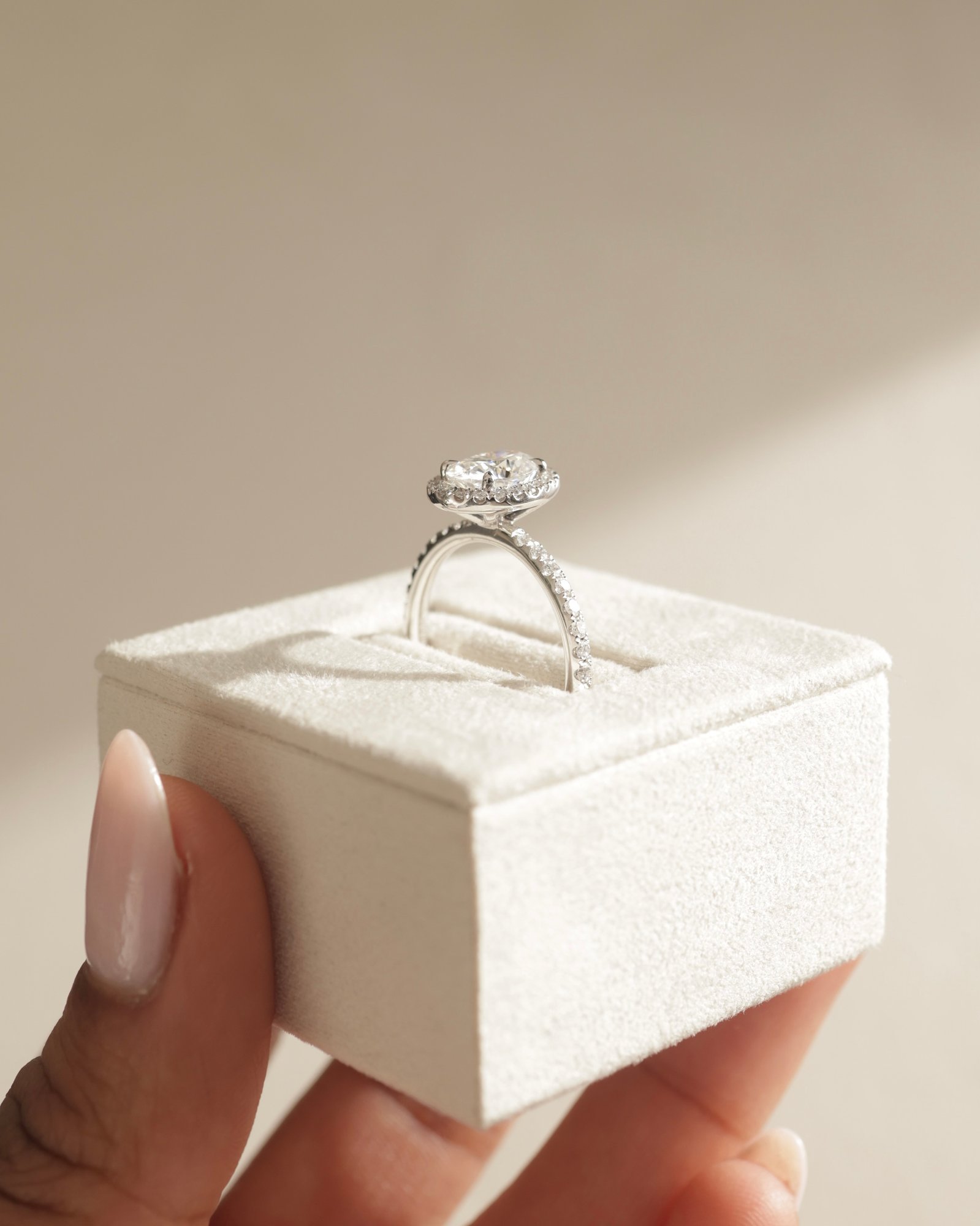 Platinum | 8x6mm Oval Moissanite | Lab Diamond side stones