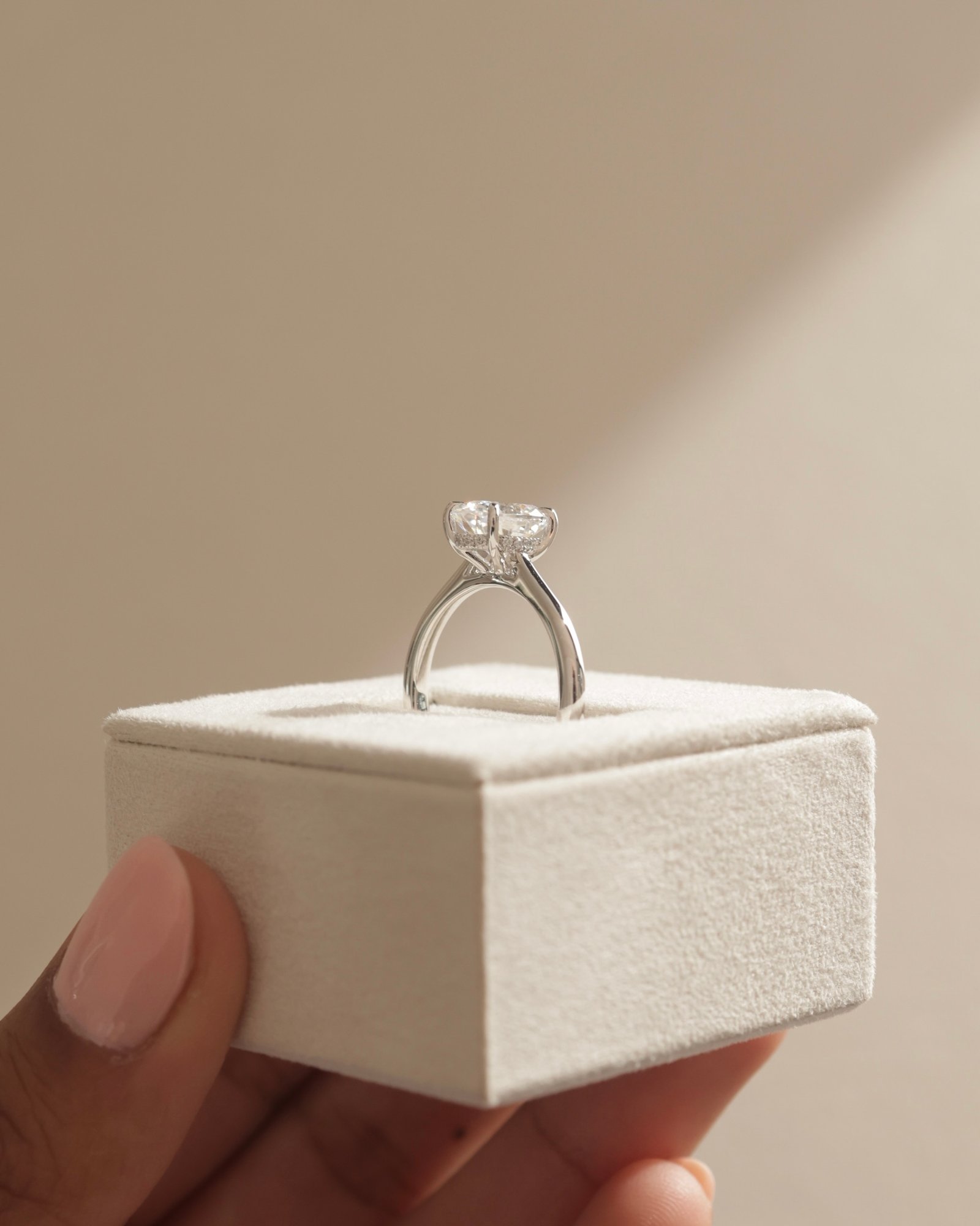 Platinum | 9x6.5mm Oval Moissanite | Lab Diamond side stones