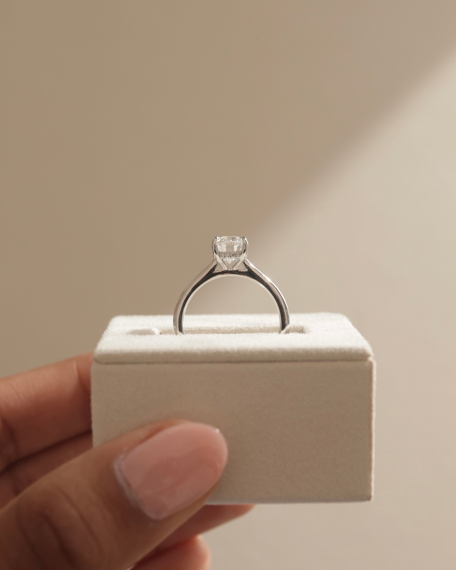 Platinum | 9x6.5mm Oval Moissanite | Lab Diamond side stones