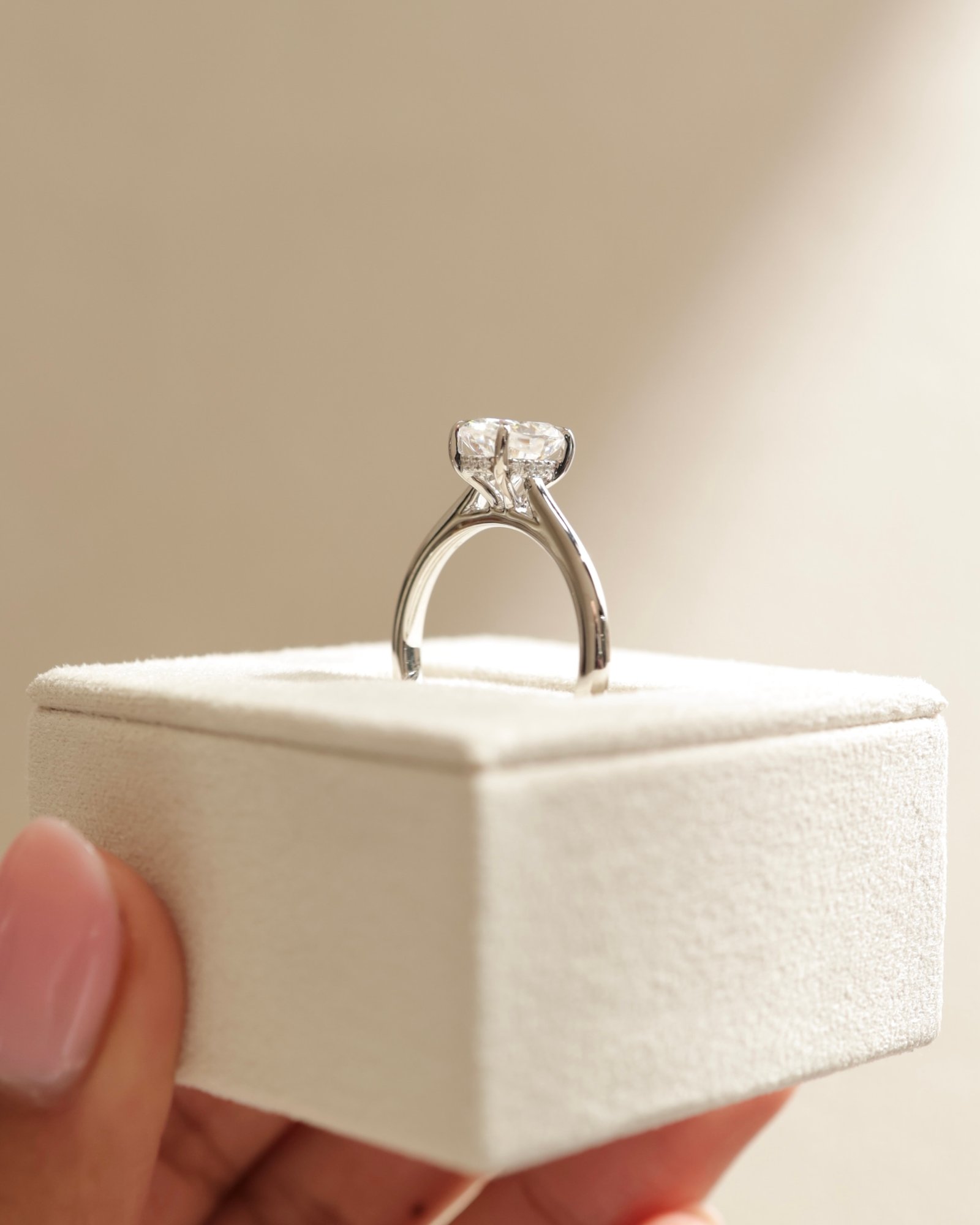 Platinum | 8x6mm Oval Moissanite | Lab Diamond side stones