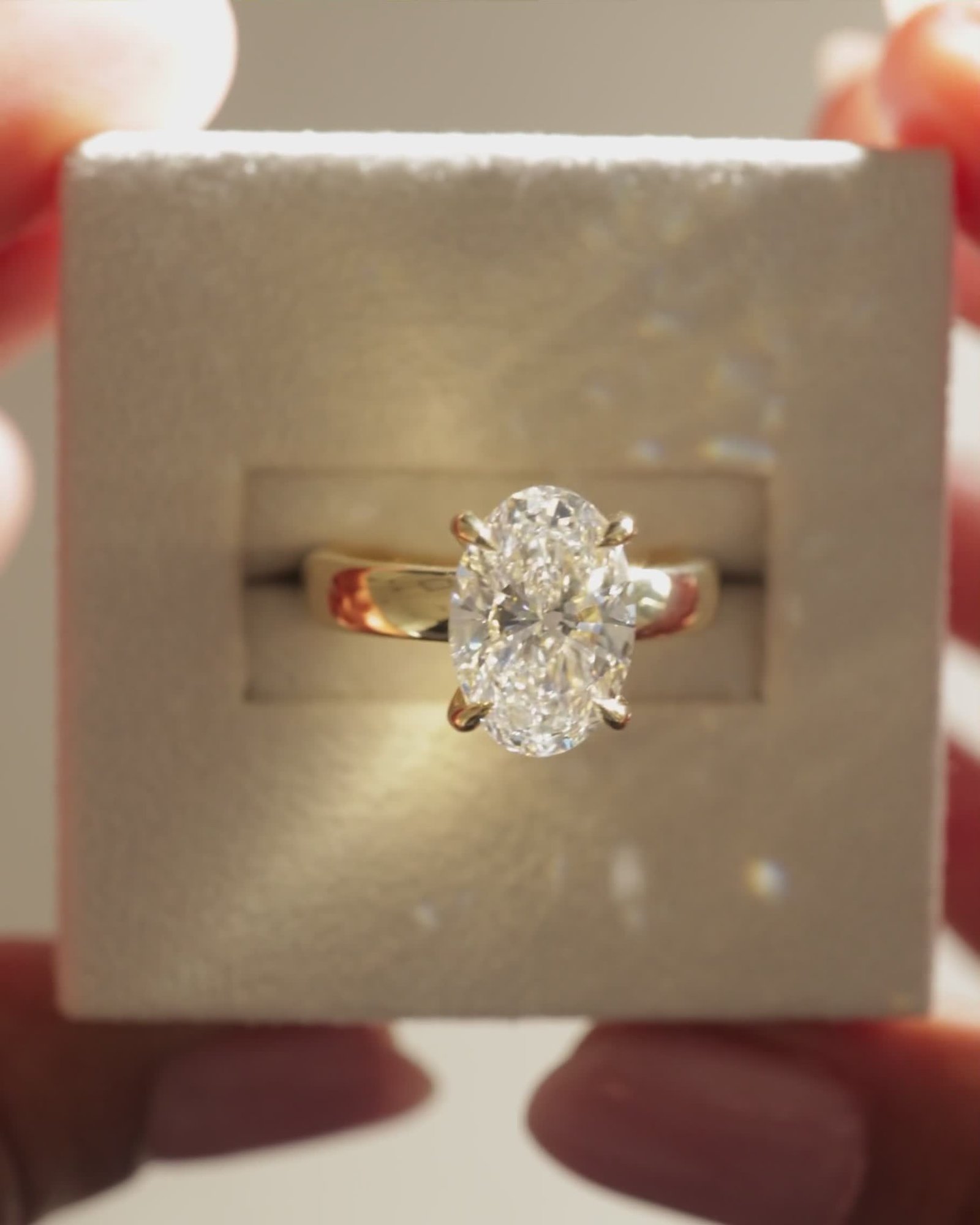 04_3870_Video 4x5.mov