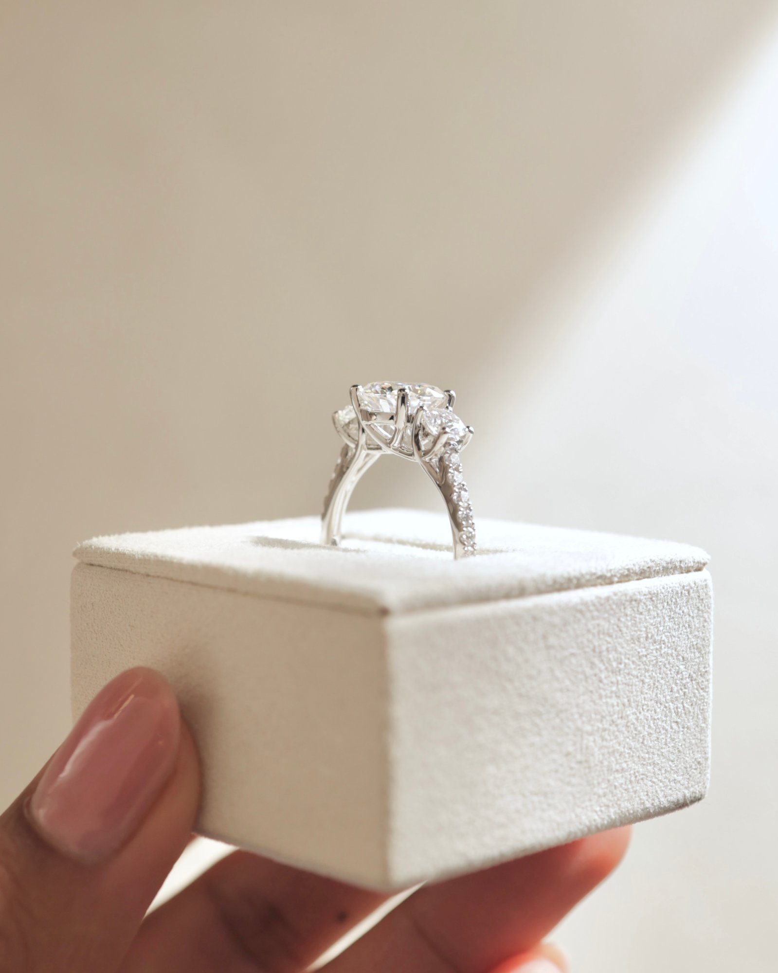 Platinum | 8.5mm Round Moissanite | Moissanite side stones