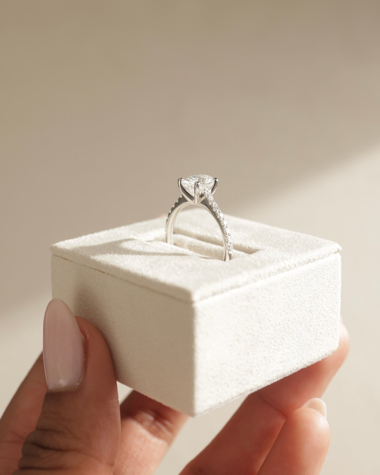 Platinum | 8x6mm Oval Moissanite | Lab Diamond side stones