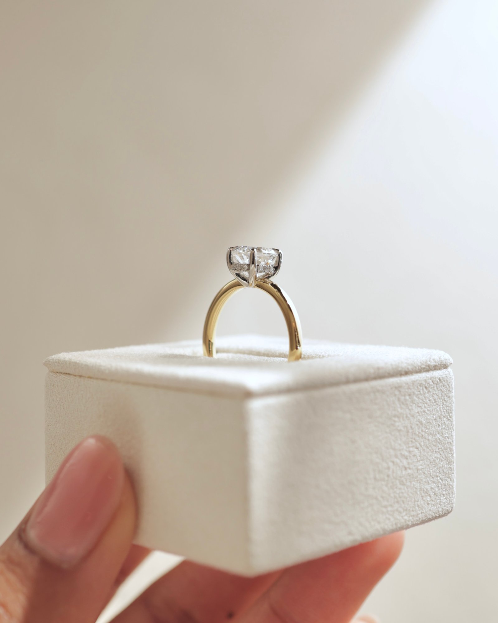 18k Yellow Gold / Platinum | Low Set | 8x6mm Oval Moissanite | Lab Diamond side stones