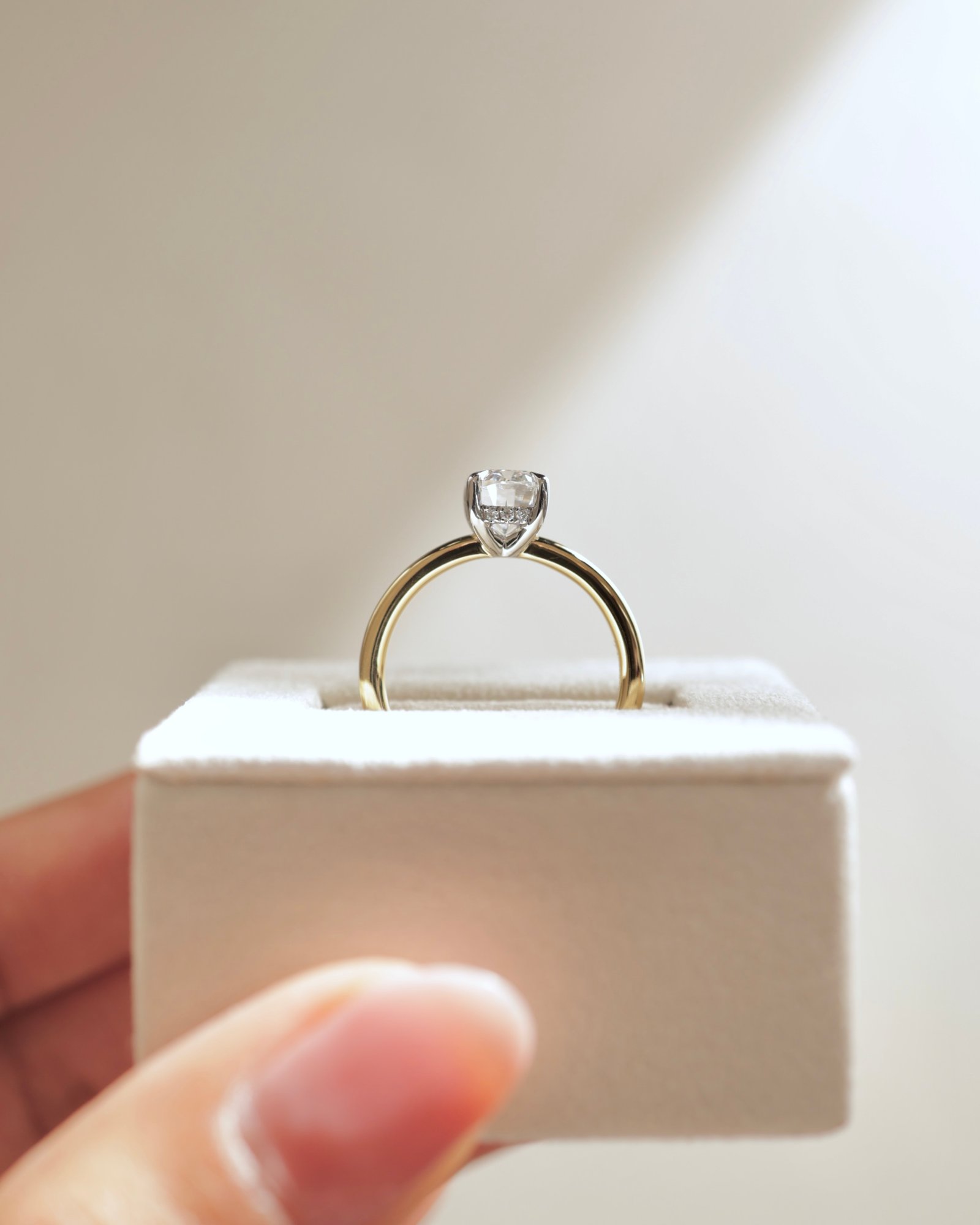 18k Yellow Gold / Platinum | Low Set | 8x6mm Oval Moissanite | Lab Diamond side stones