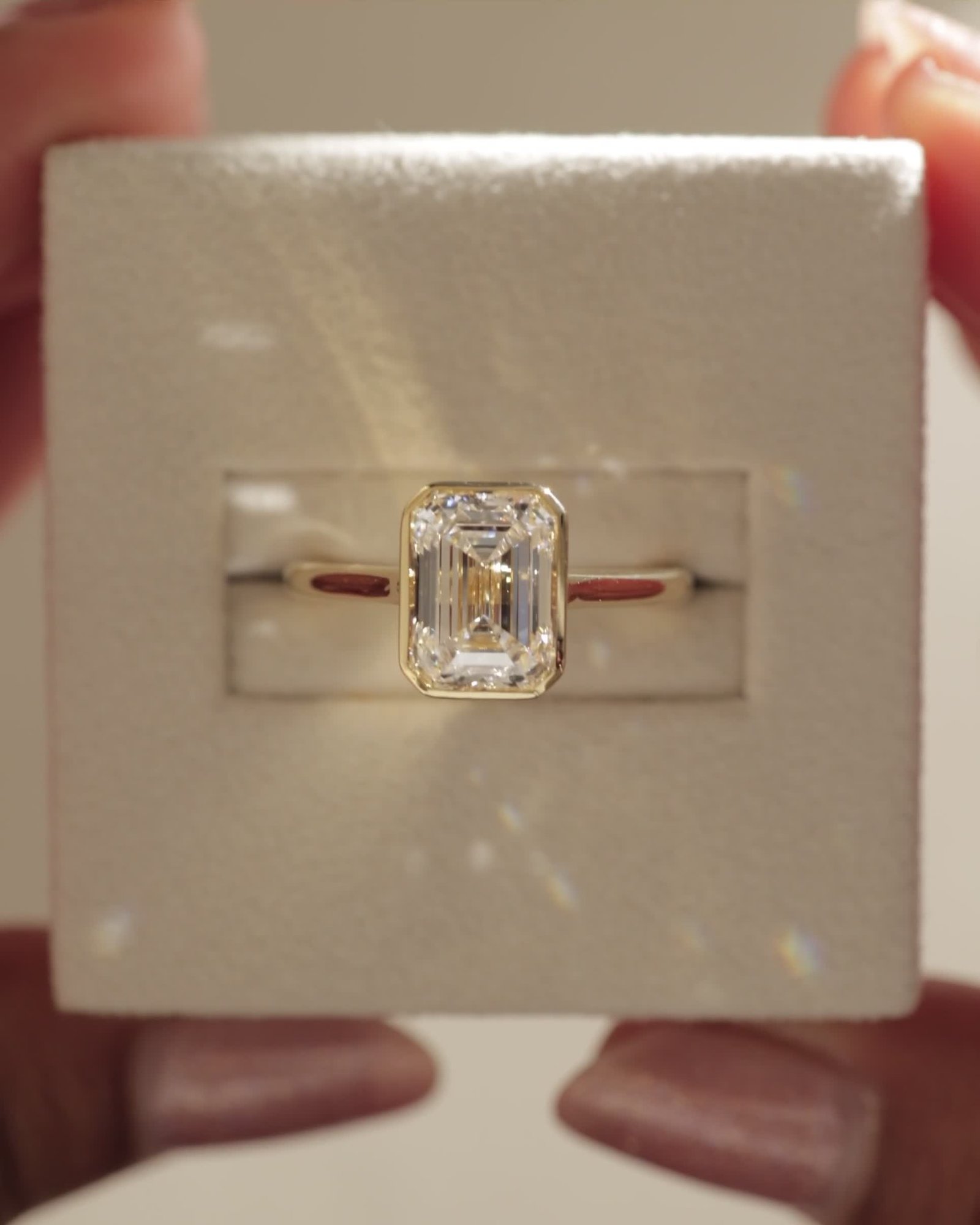 04_3766_Video 4x5.mov