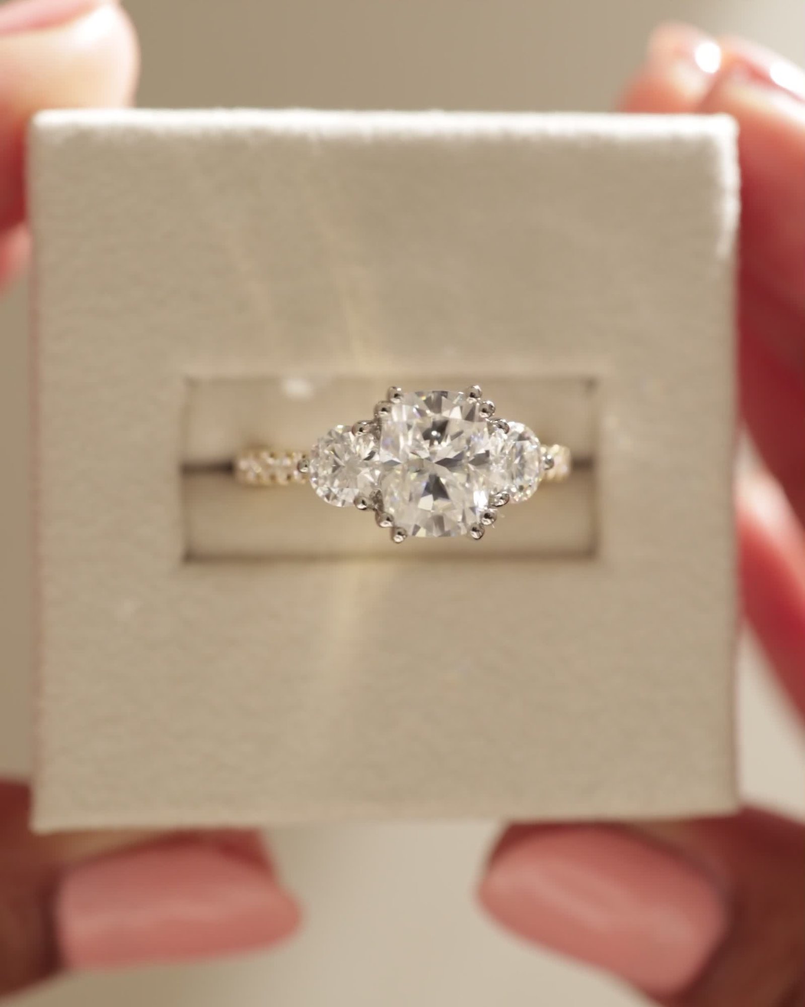 04_3755_Video 4x5.mov