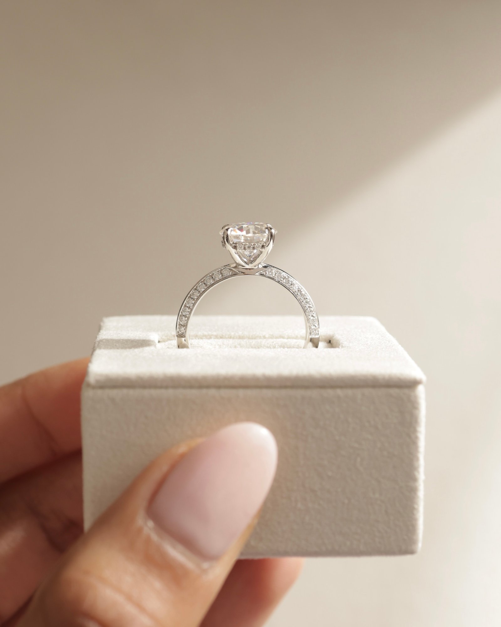 Platinum | 8.5mm Round Moissanite | Moissanite side stones