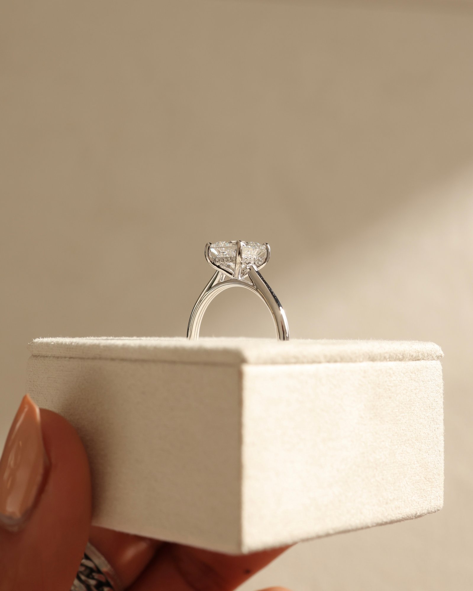 Platinum | 1.7ct - E - VS2 Princess Lab Diamond | Lab Diamond side stones