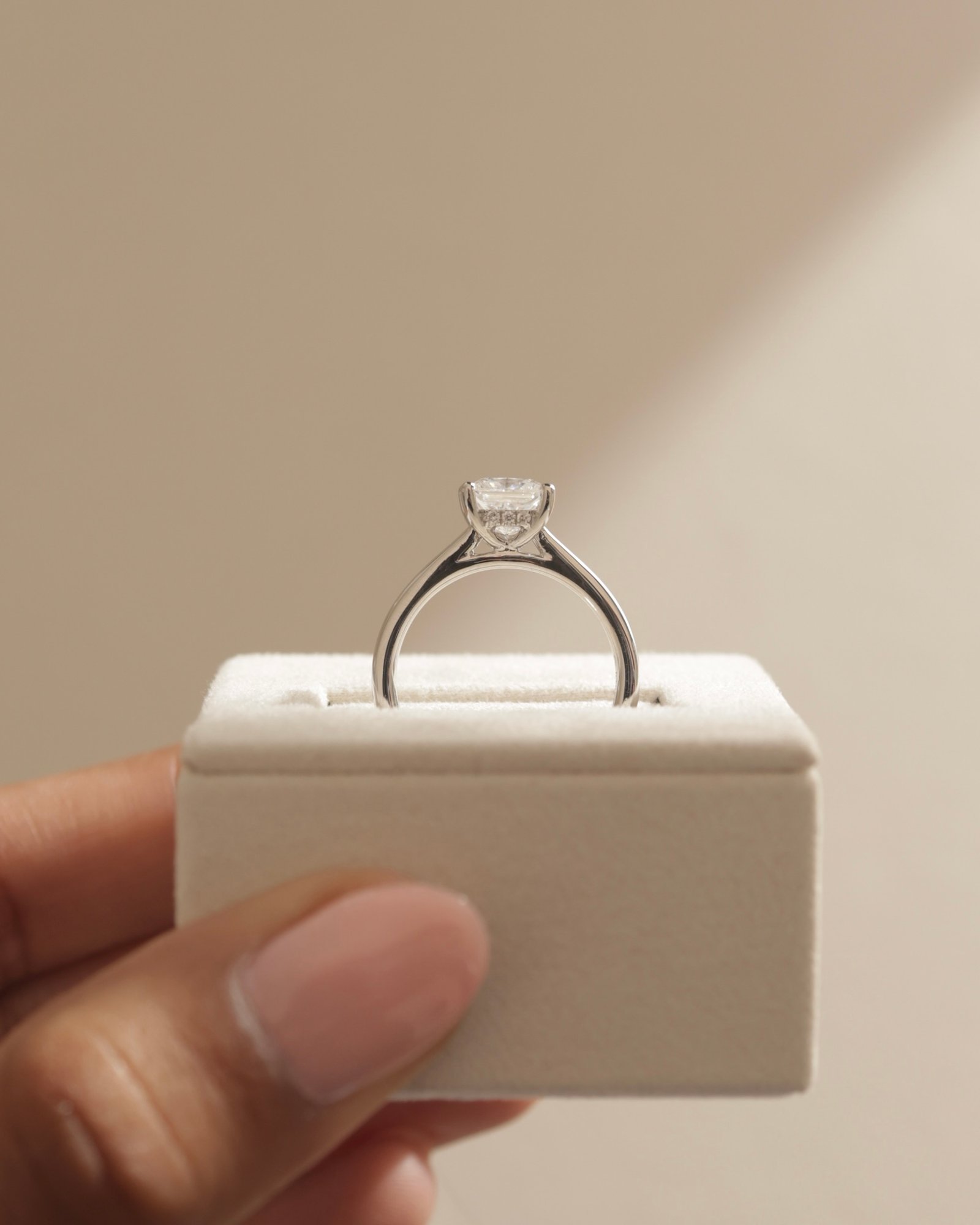 Platinum | 6mm Princess Moissanite | Lab Diamond side stones