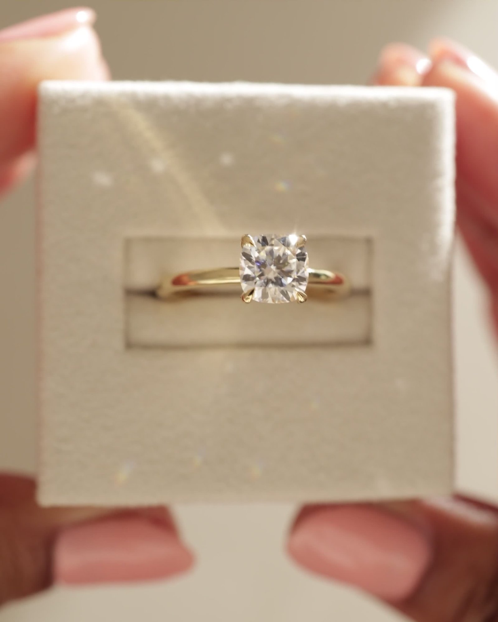 04_3895_Video 4x5.mov