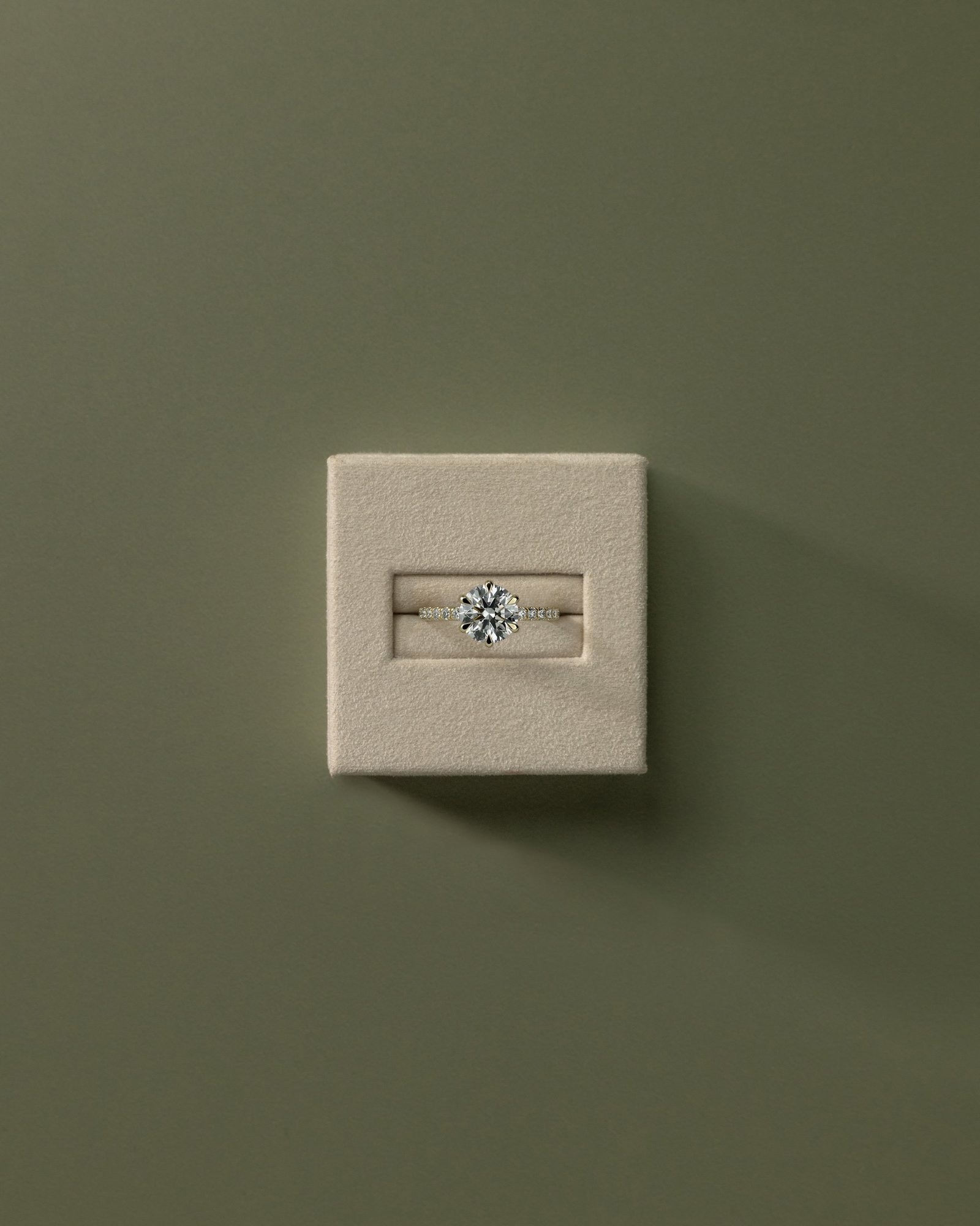 Alexandria  6 Claw Pav Round Solitaire - 18k Yellow Gold