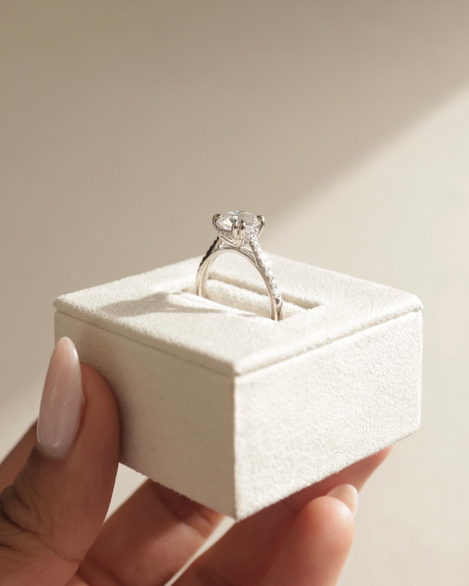 Amelia  Cathedral Pav Round Solitaire with Hidden Halo Lifestyle Image