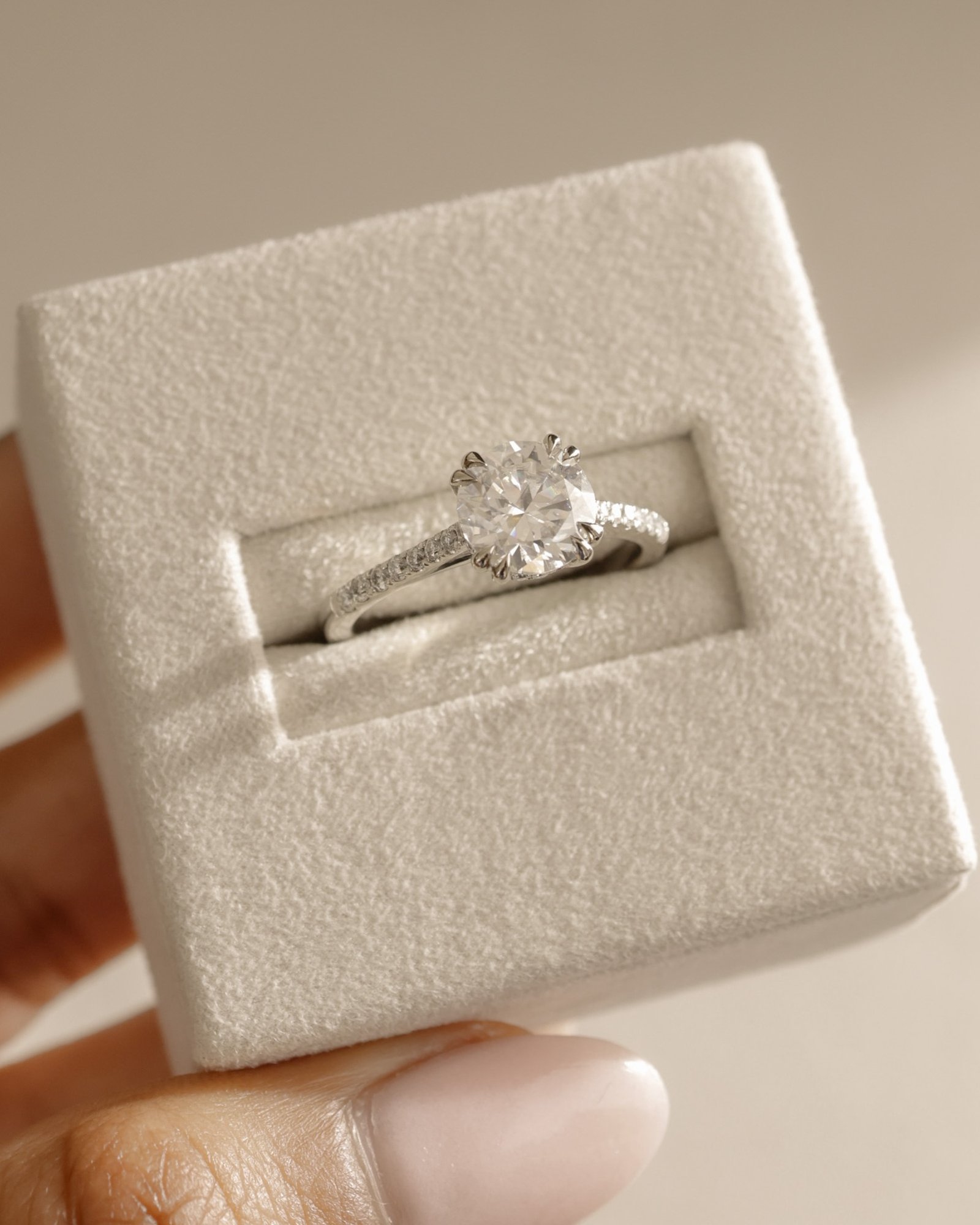 Amelia  Cathedral Pav Round Solitaire with Hidden Halo Lifestyle Image